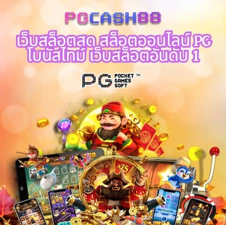 เว็บ หมี